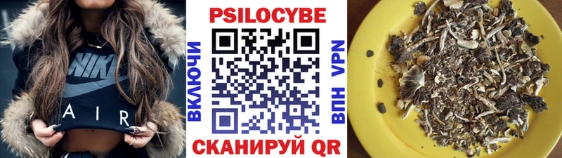 как найти закладки  Бикин  Галлюциногенные грибы Cubensis 